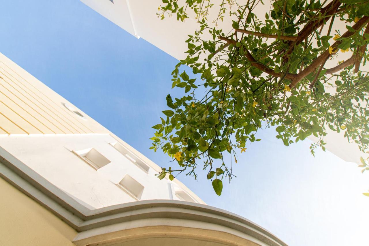 קסילוקסטרו Diamante Beachfront Suites מראה חיצוני תמונה